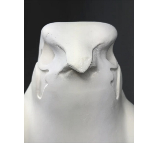 Statue of the god Horus protecting the Egyptian...