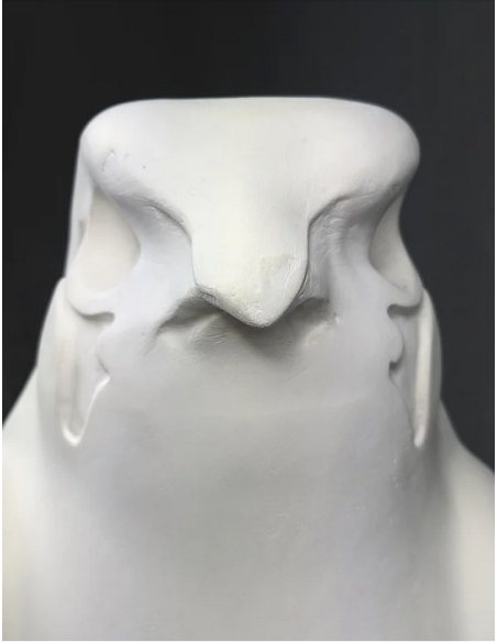 Statue of the god Horus protecting the Egyptian king Pharaoh Nectanebo II