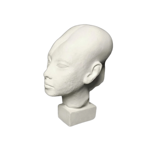 Busto de Meritatón, princesa de Egipto, Hija de...