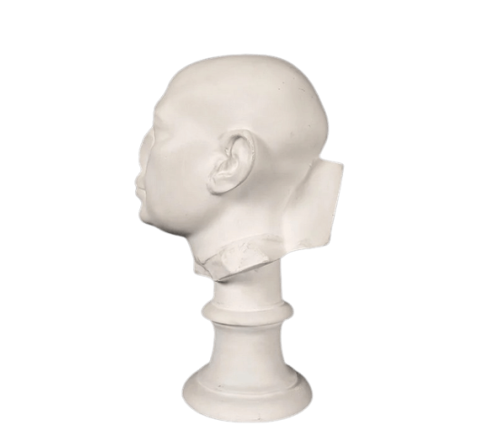 Head of a male statue known as the Berlin Green...