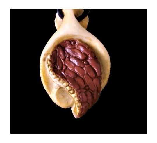 Aegean Sea medallion, invitation to journey.