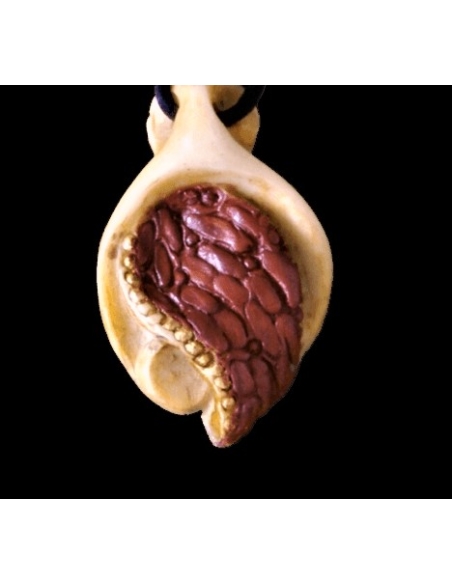 Aegean Sea medallion, invitation to journey.