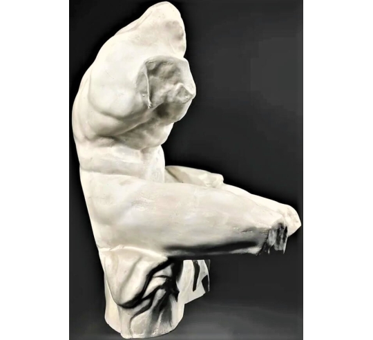 Belvedere torso after the sculptor Apollonius...