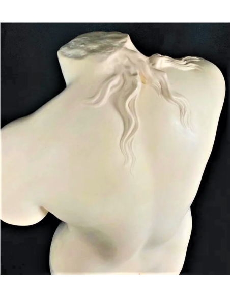 Torso desnudo de Venus de estilo Afrodita de Cnido, Villa Albani Torlonia.