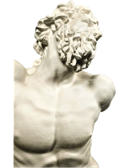 Torso of Laocoon, Vatican Museum.