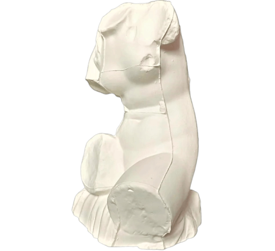 Torso of a seated Venus, known as the Venus of...