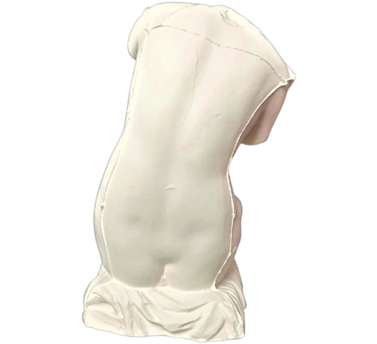 Torso of a seated Venus, known as the Venus of...