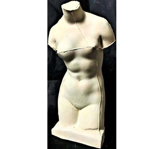 Torso de Venus en el baño en el estilo de...