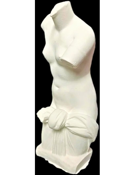 Torso of Venus Anadyomena, emerging naked from the water wearing only a drape tied at the waist.