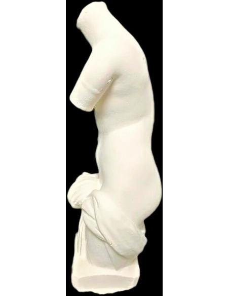 Torso of Venus Anadyomena, emerging naked from the water wearing only a drape tied at the waist.