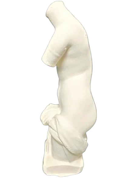 Torso of Venus Anadyomena, emerging naked from the water wearing only a drape tied at the waist.