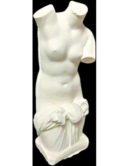 Torse de Vénus Anadyomène, sortant nue de l'eau simplement vêtue d'un drapé noué à la taille.