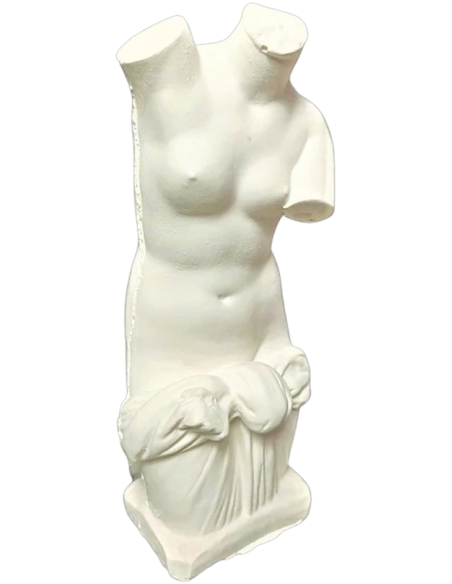 Torse de Vénus Anadyomène, sortant nue de l'eau simplement vêtue d'un drapé noué à la taille.
