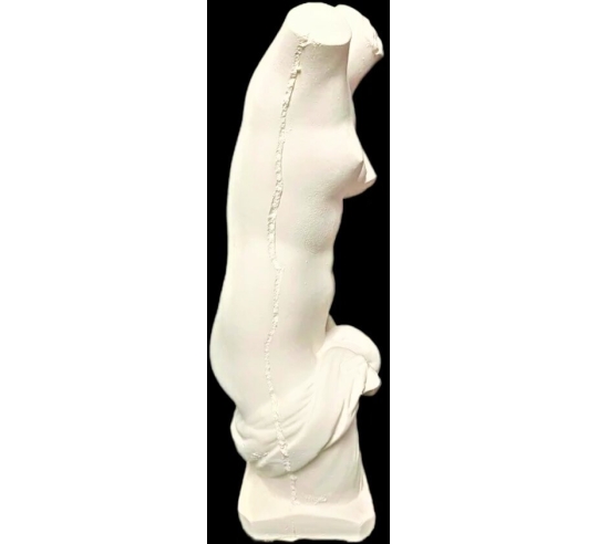 Torse de Vénus Anadyomène, sortant nue de l'eau...