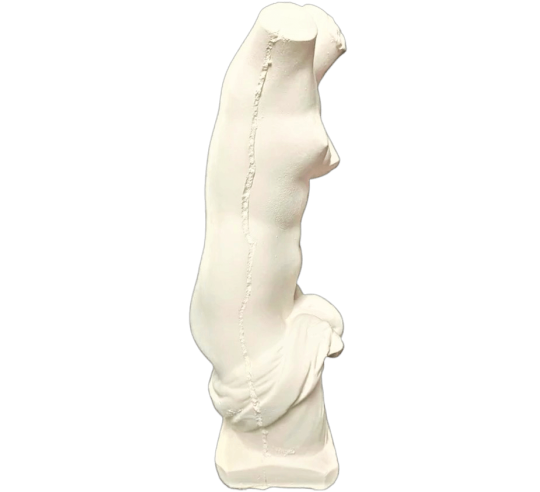 Torso of Venus Anadyomena, emerging naked from...