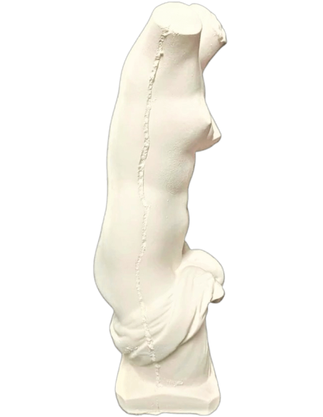 Torse de Vénus Anadyomène, sortant nue de l'eau simplement vêtue d'un drapé noué à la taille.