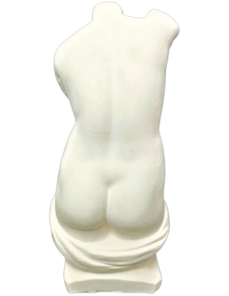 Torso of Venus Anadyomena, emerging naked from the water wearing only a drape tied at the waist.
