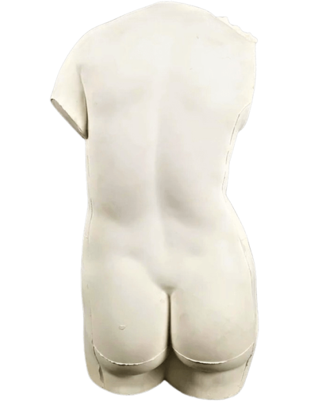 Torse de Vénus de Cnide d'après Praxitèle, Musée du Cinquantenaire.