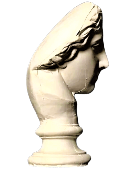 Bust of the Amazon Mattei, Louvre Museum