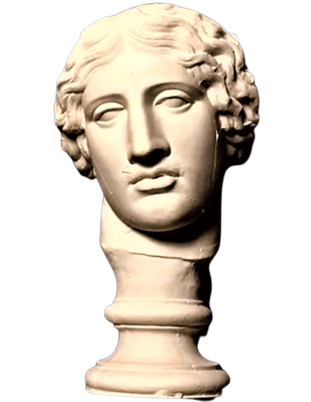 Bust of the Amazon Mattei, Louvre Museum