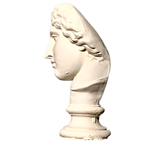 Bust of the Amazon Mattei, Louvre Museum