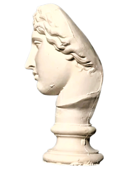 Bust of the Amazon Mattei, Louvre Museum