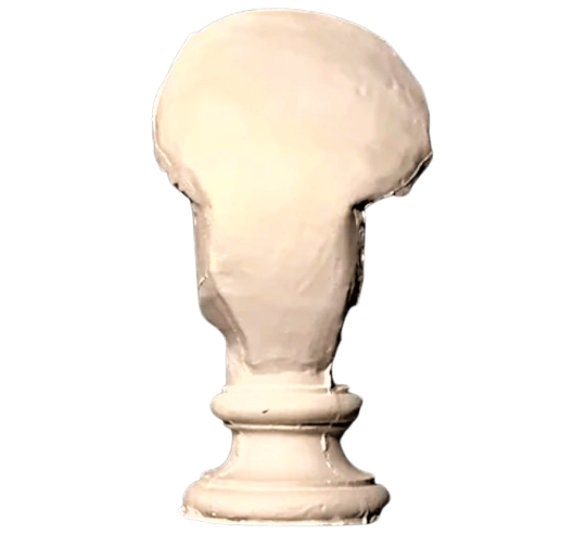 Bust of the Amazon Mattei, Louvre Museum