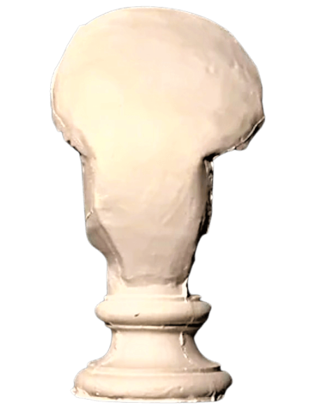 Bust of the Amazon Mattei, Louvre Museum