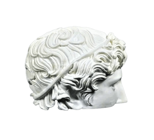 Half head of victorious athlete, also known as...