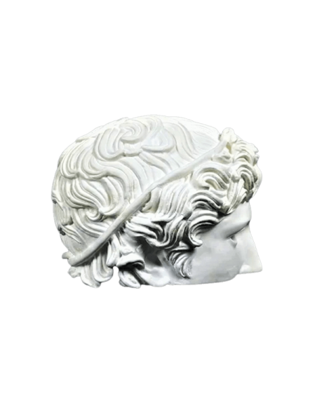 Media Cabeza de atleta victorioso conocida como Cabeza de Bénévent, Museo del Louvre