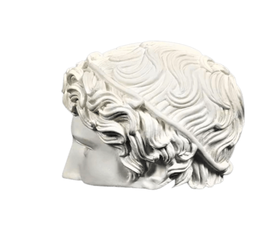 Half head of victorious athlete, also known as...