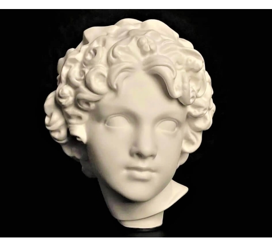 Tête de jeune Bacchus d'après Frédéric Auguste...