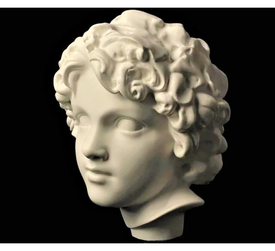 Tête de jeune Bacchus d'après Frédéric Auguste...