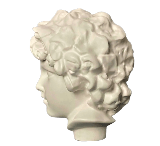 Tête de jeune Bacchus d'après Frédéric Auguste...