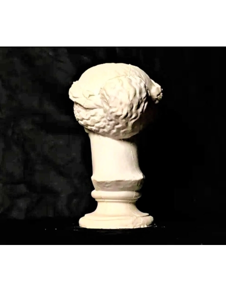 Buste de Déméter ou Cérès, Musées du Vatican
