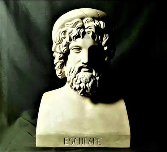 Buste d'Esculape ou d'Asclépios Dieu de la...