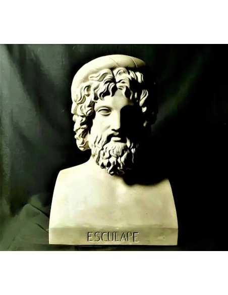 Buste d'Esculape ou d'Asclépios Dieu de la médecine, Musée du Vatican