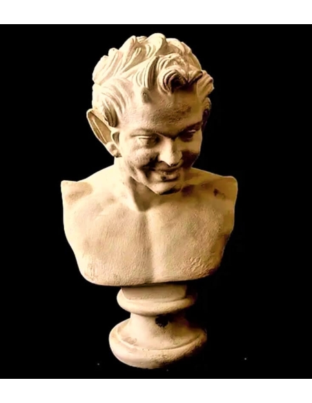 Bust of a satyr known as Faunus of Vienna, Louvre Museum