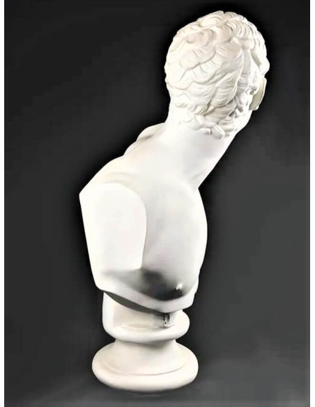 Buste du Gladiateur Borghèse d'après Agasias d'Éphèse, Musée du Louvre