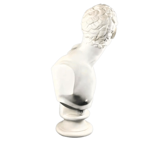 Buste du Gladiateur Borghèse d'après Agasias...