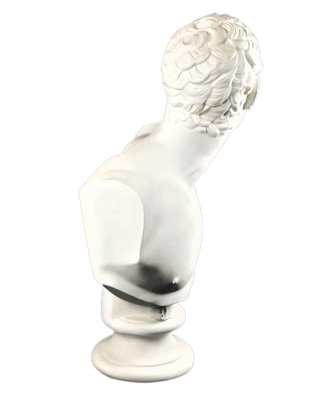 Buste du Gladiateur Borghèse d'après Agasias d'Éphèse, Musée du Louvre