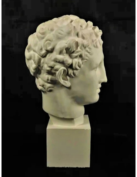 Head of Hermes and the Infant Dionysus, also known as the Hermes of Praxiteles