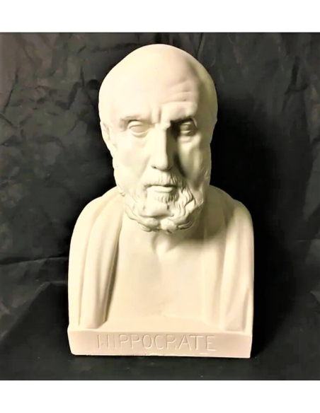 Buste d'Hippocrate, Musée du Louvre