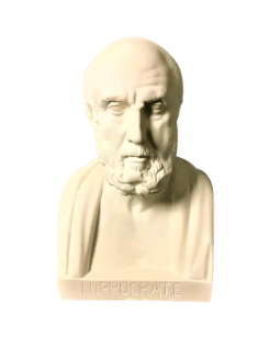 Busto de Hipócrates, Museo del Louvre