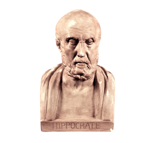 Buste d'Hippocrate, Musée du Louvre