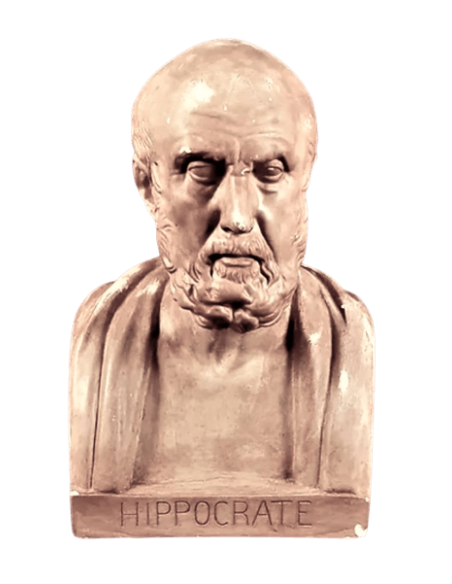 Buste d'Hippocrate, Musée du Louvre