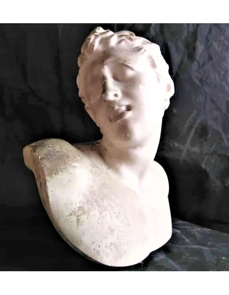 Busto de uno de los hijos de Laocoonte, Museo del Vaticano