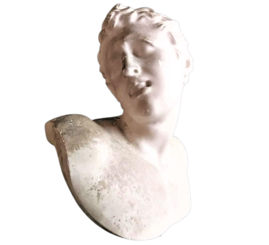Busto de uno de los hijos de Laocoonte, Museo del Vaticano