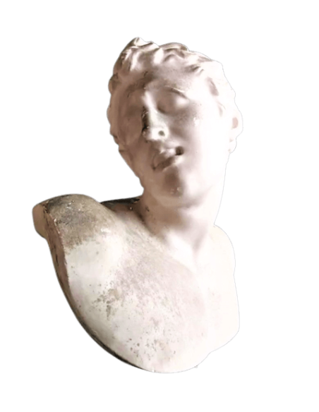 Busto de uno de los hijos de Laocoonte, Museo del Vaticano