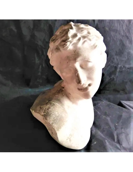 Busto de uno de los hijos de Laocoonte, Museo del Vaticano